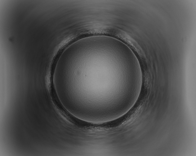 X0000096700677200802191449
