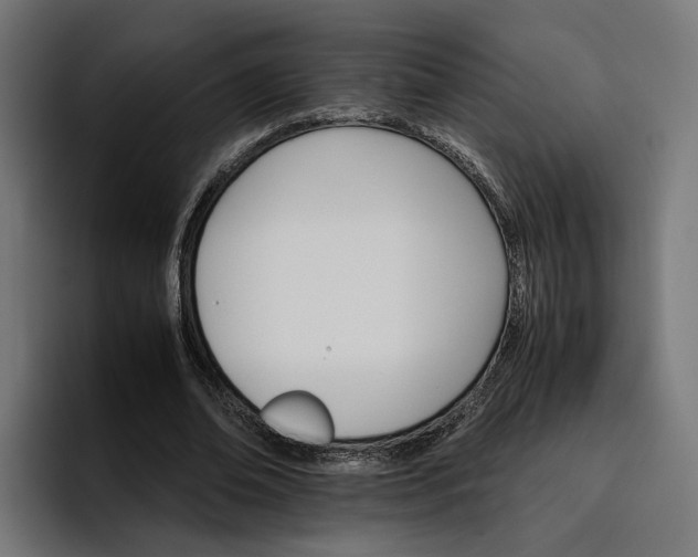 X0000096700678200802191449