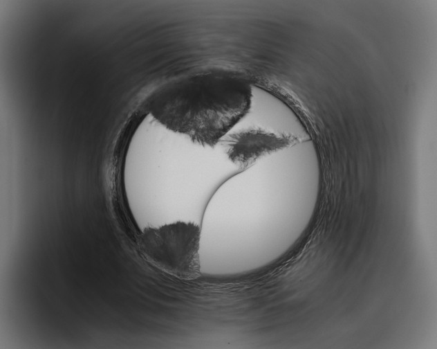 X0000096700679200802191449