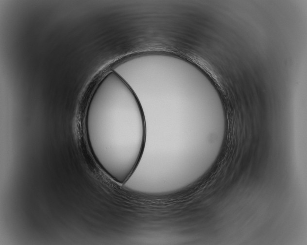 X0000096700680200802191449