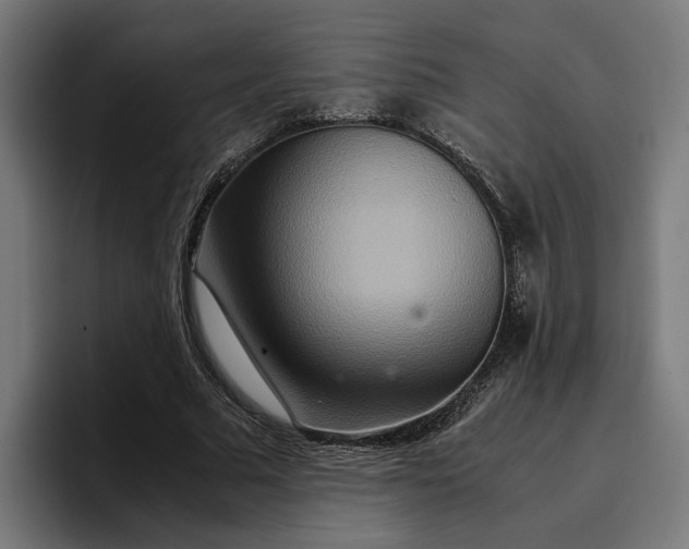 X0000096700681200802191449