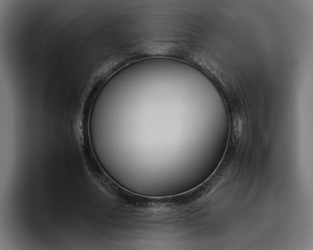 X0000096700682200802191449