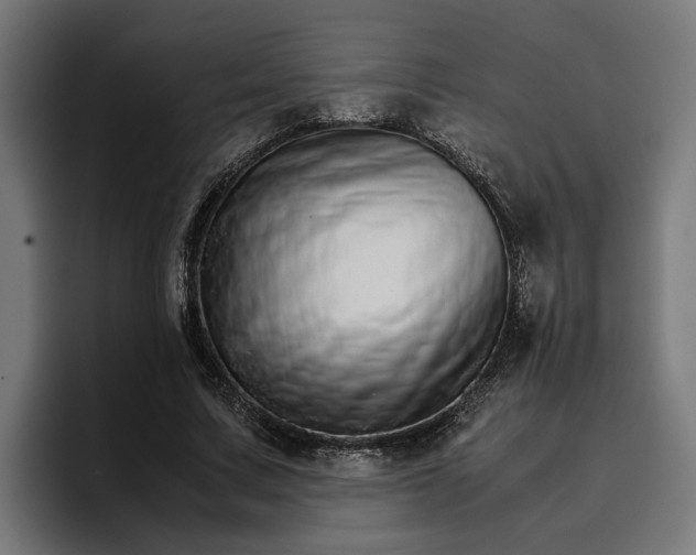 X0000096700683200802191448