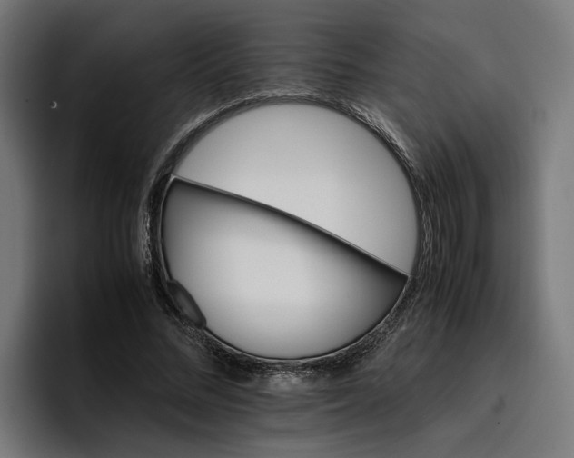 X0000096700684200802191448