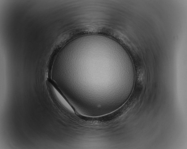 X0000096700685200802191448