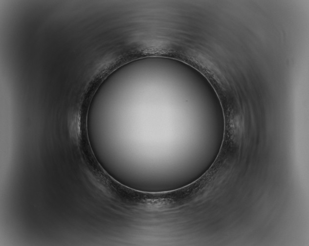 X0000096700686200802191448