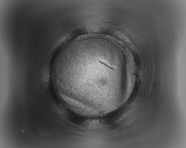 X0000096700687200802191448