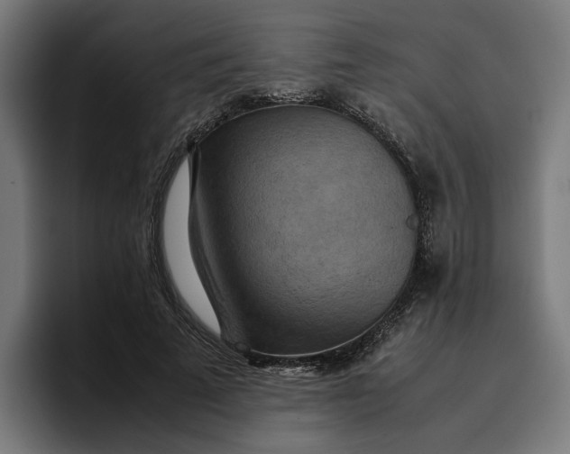 X0000096700689200802191448