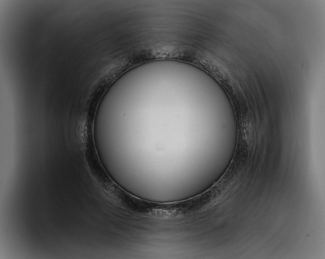X0000096700690200802191448