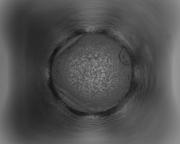 X0000096700691200802191448