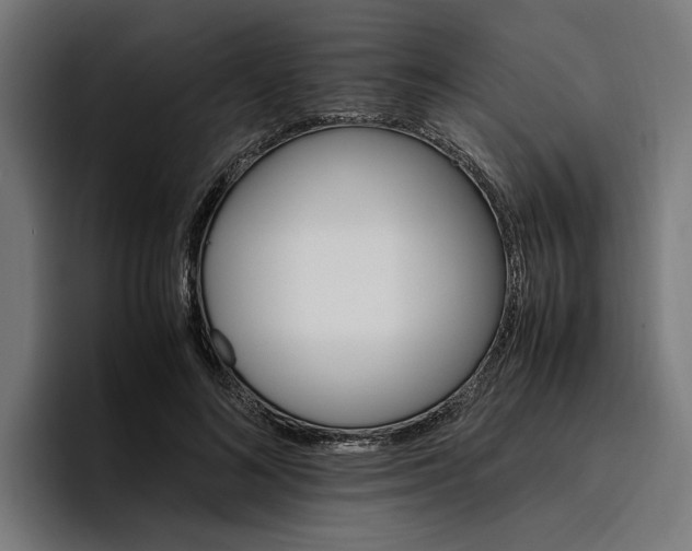 X0000096700692200802191448