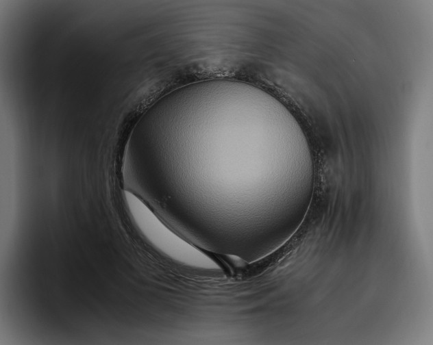 X0000096700693200802191448