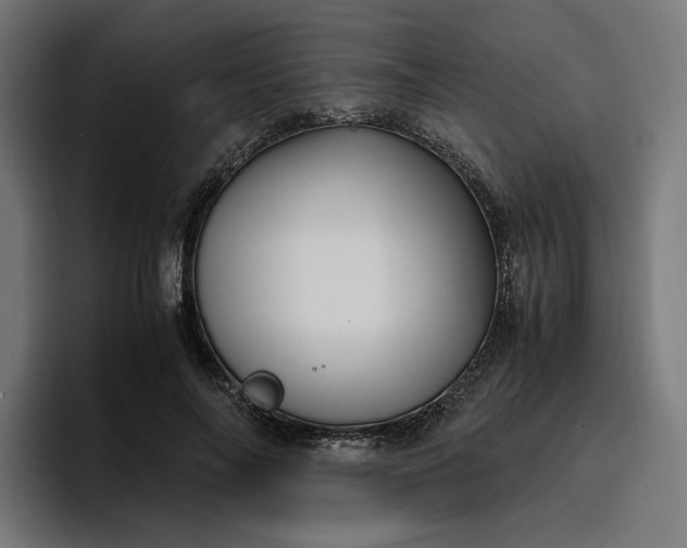 X0000096700694200802191448