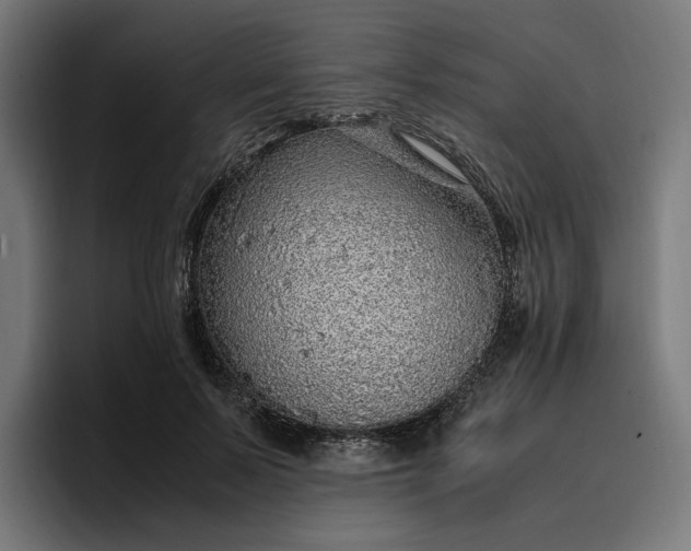 X0000096700695200802191448