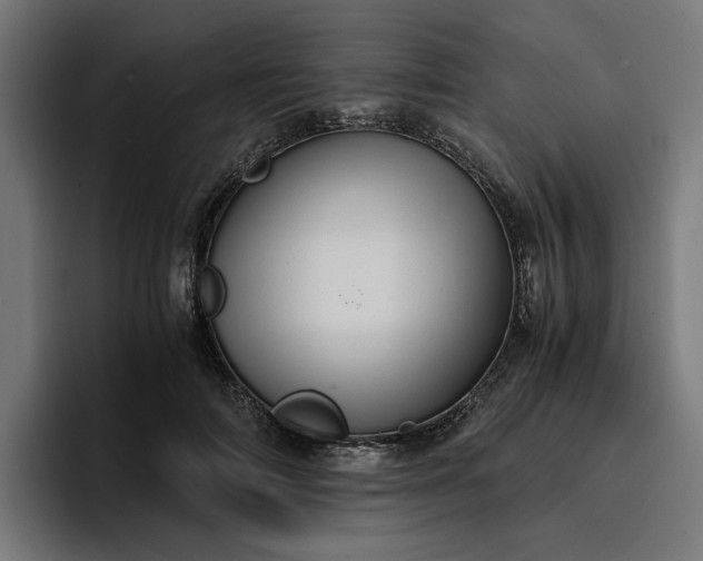 X0000096700698200802191448