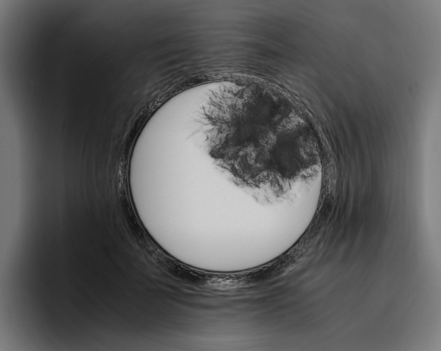 X0000096700699200802191448