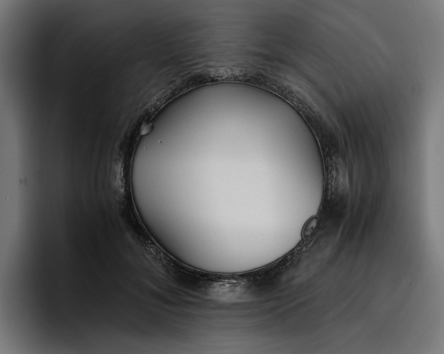 X0000096700700200802191448