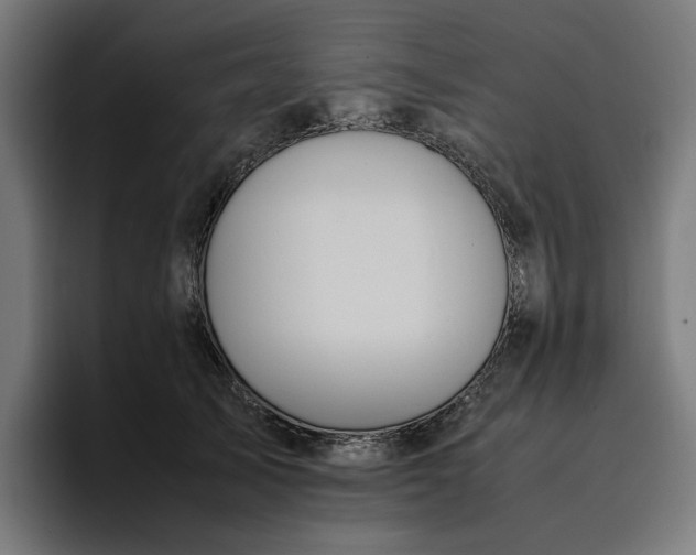 X0000096700705200802191448
