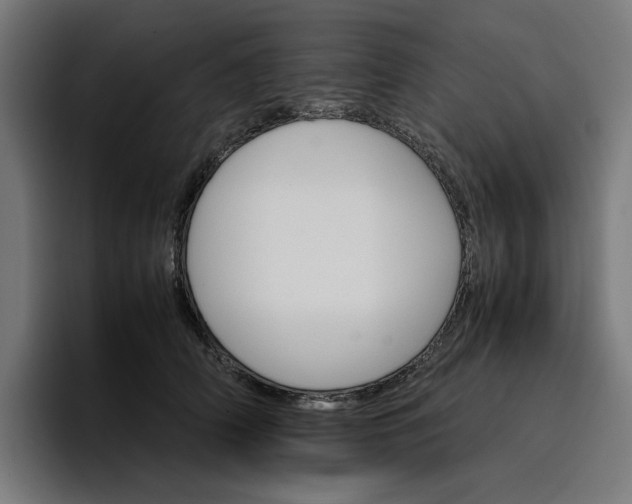 X0000096700706200802191448