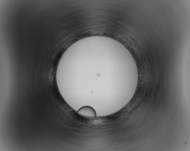 X0000096700710200802191448