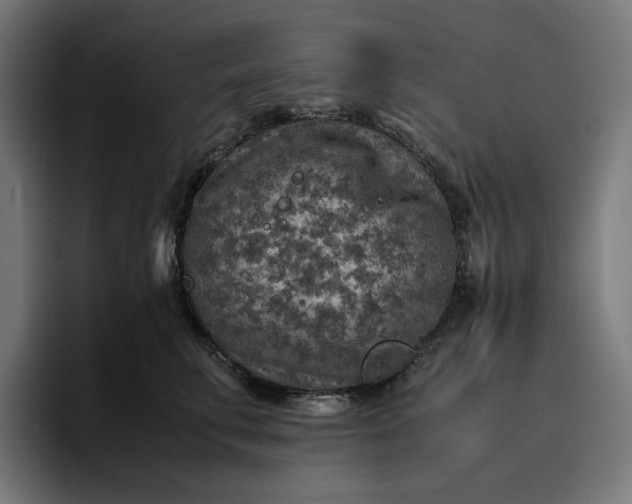 X0000096700711200802191448