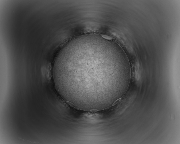 X0000096700712200802191448