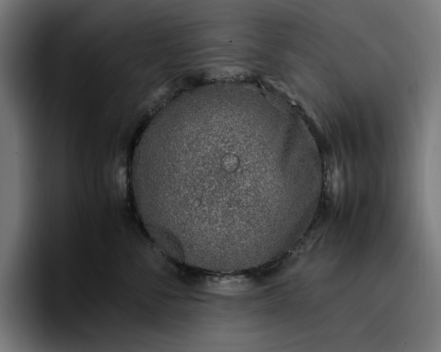 X0000096700716200802191448