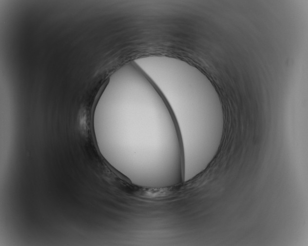 X0000096700720200802191448