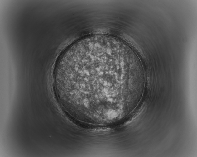 X0000096700721200802191447