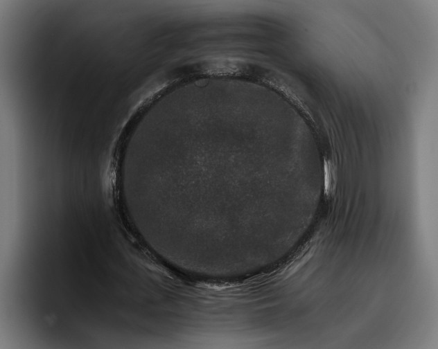 X0000096700723200802191447