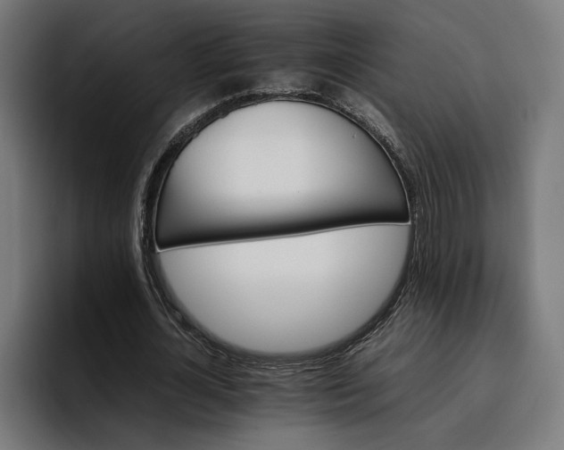 X0000096700724200802191447