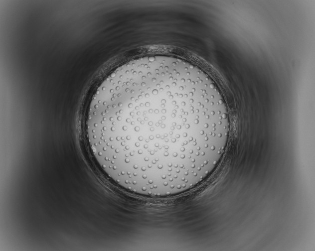 X0000096700725200802191447