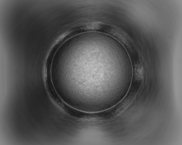 X0000096700726200802191447