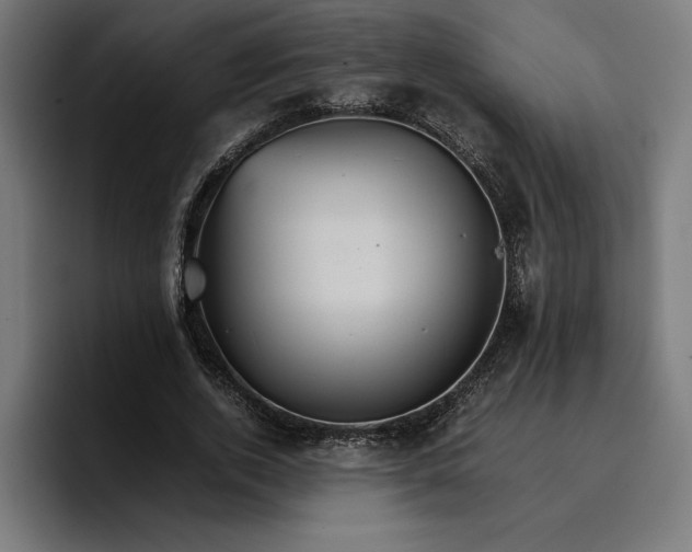 X0000096700728200802191447