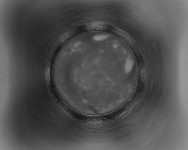 X0000096700729200802191447