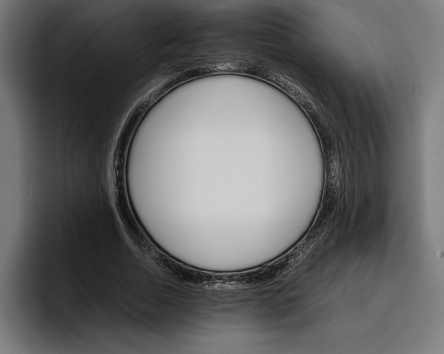 X0000096700730200802191448