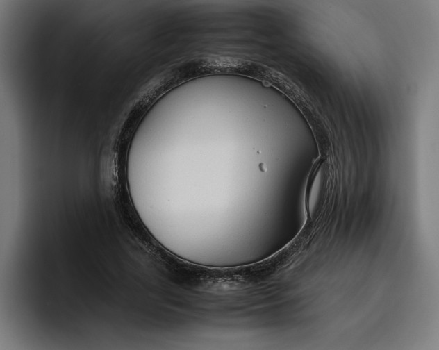 X0000096700731200802191448