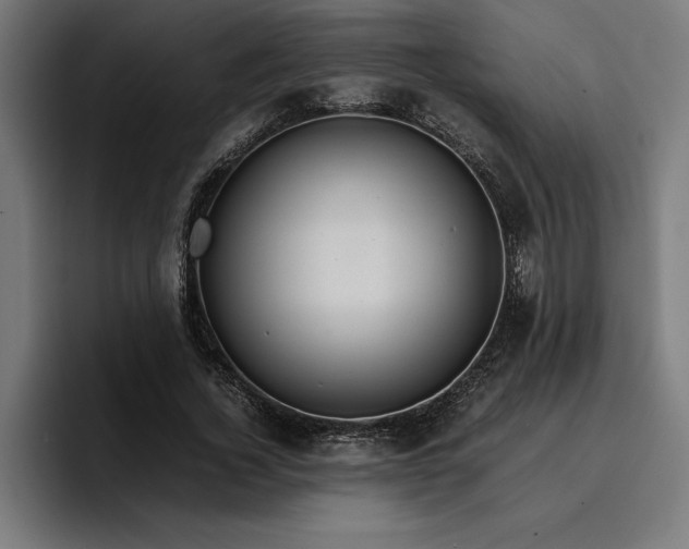 X0000096700732200802191448