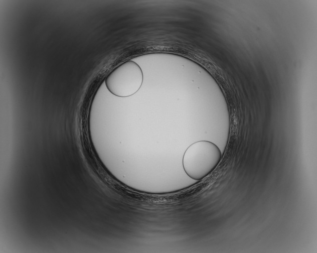X0000096700734200802191448