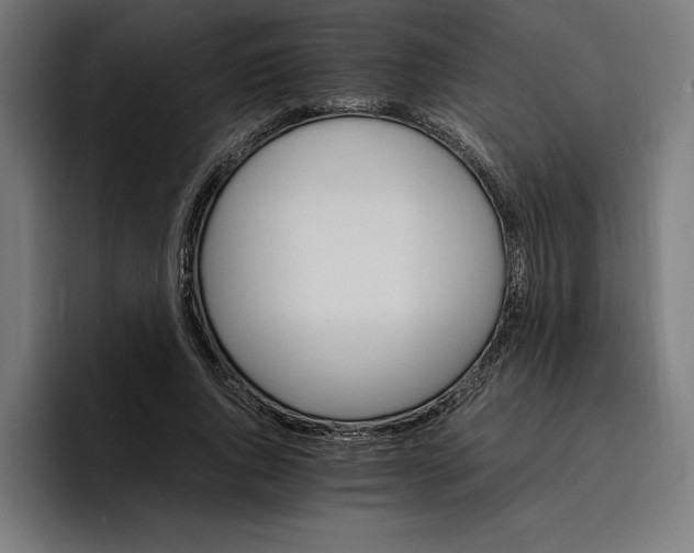 X0000096700736200802191448