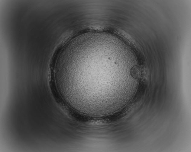 X0000096700738200802191448