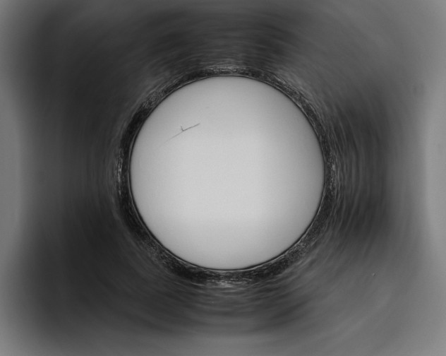 X0000096700739200802191448