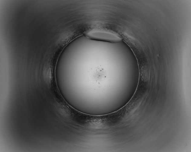 X0000096700740200802191448