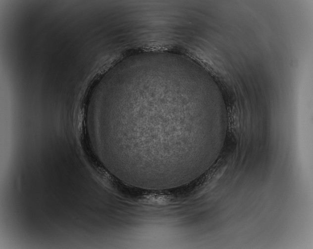 X0000096700742200802191448