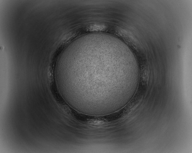 X0000096700743200802191448