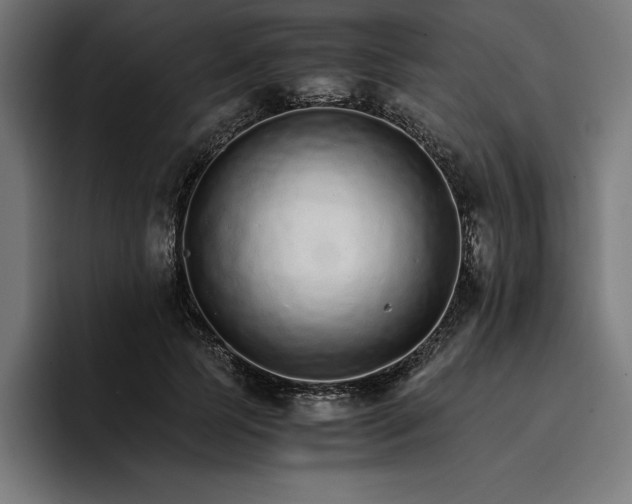 X0000096700745200802191448