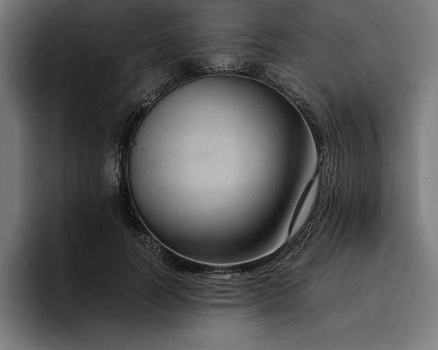 X0000096700746200802191448