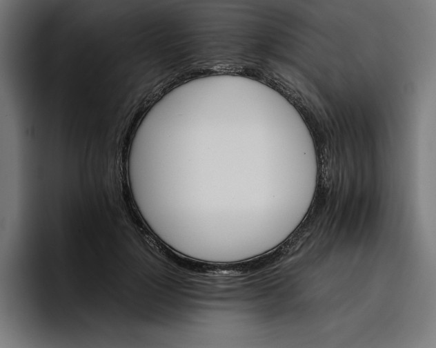 X0000096700748200802191448