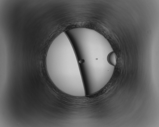 X0000096700750200802191448
