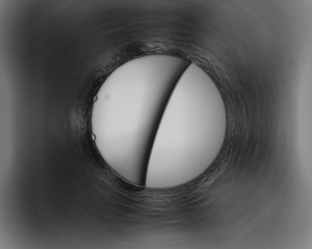 X0000096700751200802191448